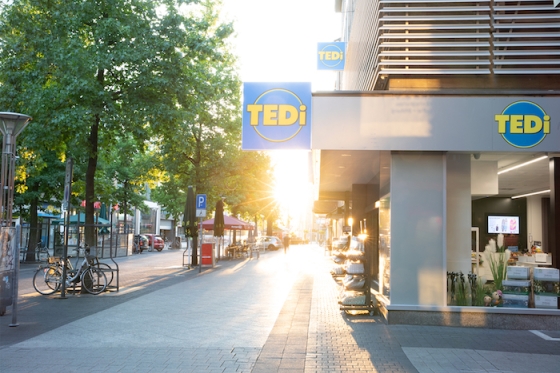 /media/11336/tedi