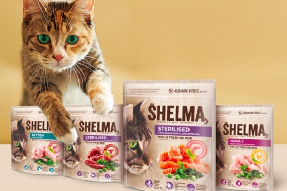 /media/17360/shelma