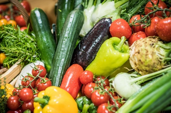 /media/10016/albert_bio-kvalita_1