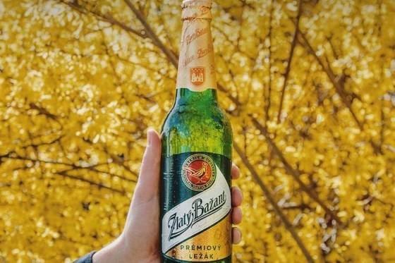 /media/12870/zlatýbažant