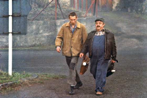 /media/2386/vesnicko-ma-strediskova