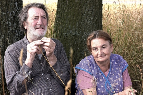 /media/21301/cestadomu