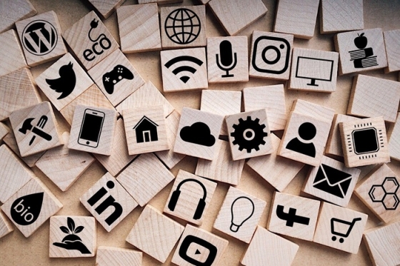 /media/zmtfeg44/media_pixabay