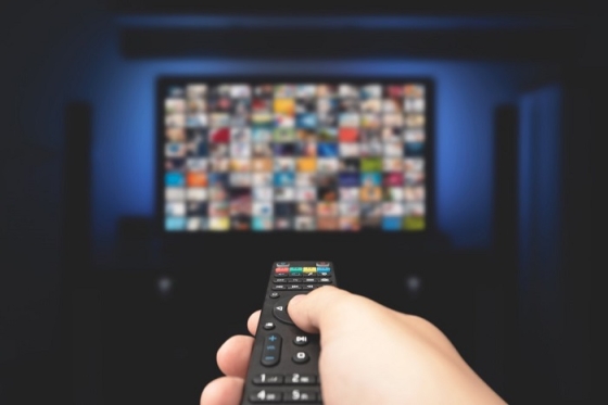 /media/11905/tv-divak