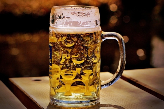/media/1u4fbj5b/pivo_pixabay_1
