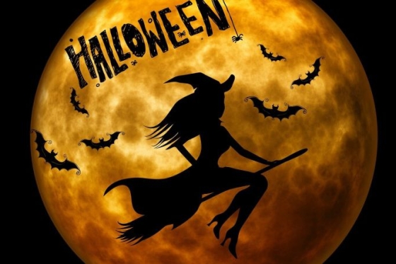 /media/24957/halloween_pixabay