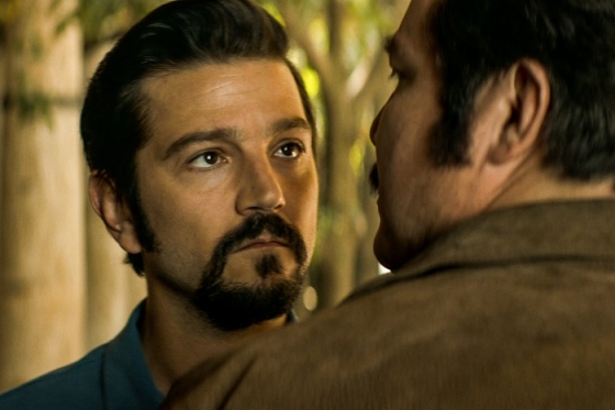 /media/17429/narcos-mexiko-ii