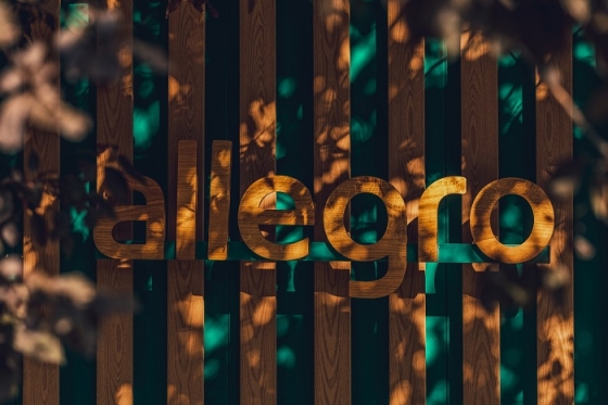 /media/24783/allegro_box_1