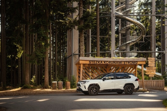 /media/12844/toyota_pocesku