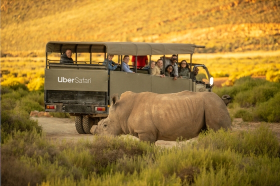 /media/qtlb5kuw/uber-safari