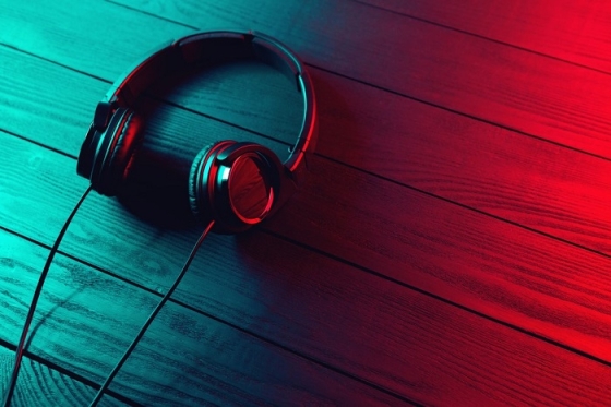 /media/9035/audio_sluchatka