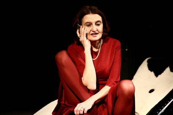 /media/12298/hvězda_eva-holubová-2