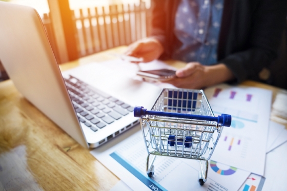 /media/ilolgfbs/ecommerce_freepik