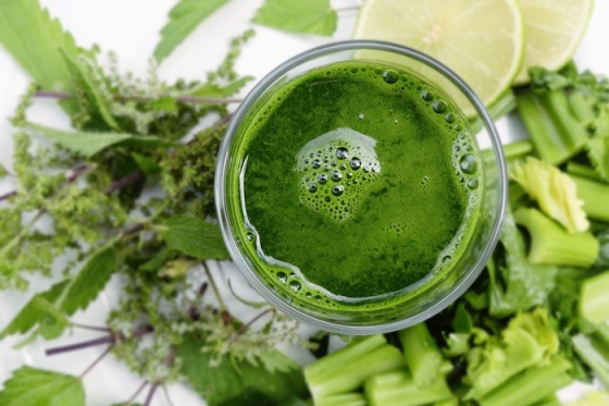 /media/2c5bxufk/greenclaims_zeleny-produkt_pixabay