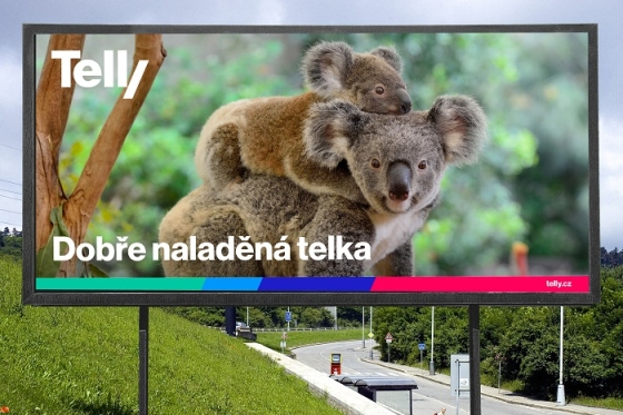 /media/12127/telly_identita_6