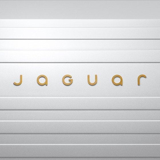 /media/il3n0azp/jaguar_device_mark