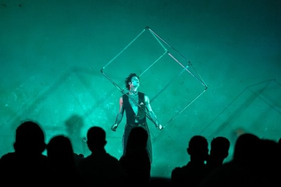 /media/18684/flema21_gala_shashik