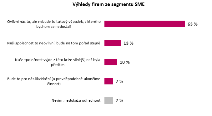 /media/12450/sme