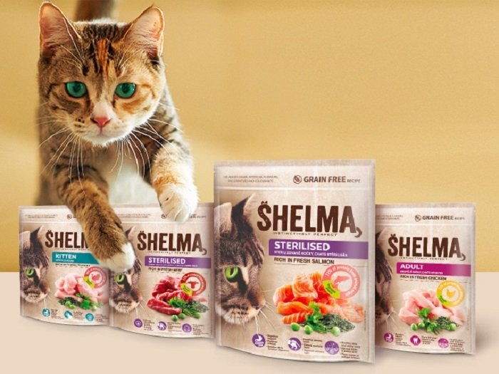 /media/17360/shelma