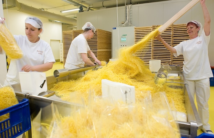 /media/11778/druid_nudle_2