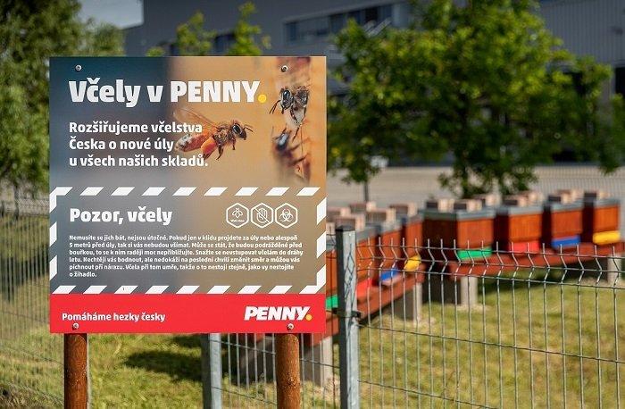 /media/17421/penny_úly_1