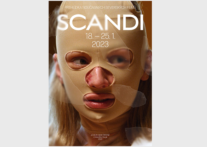 /media/23302/scandi_in