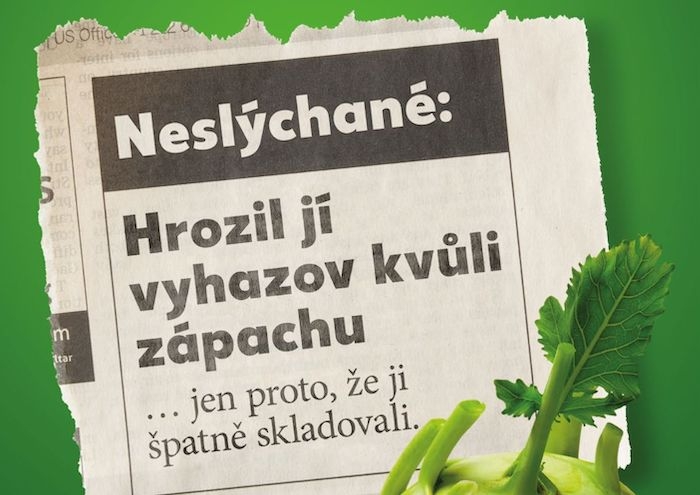/media/vuwclbz1/kaufland_nekrmkos_kedlubna_vyska