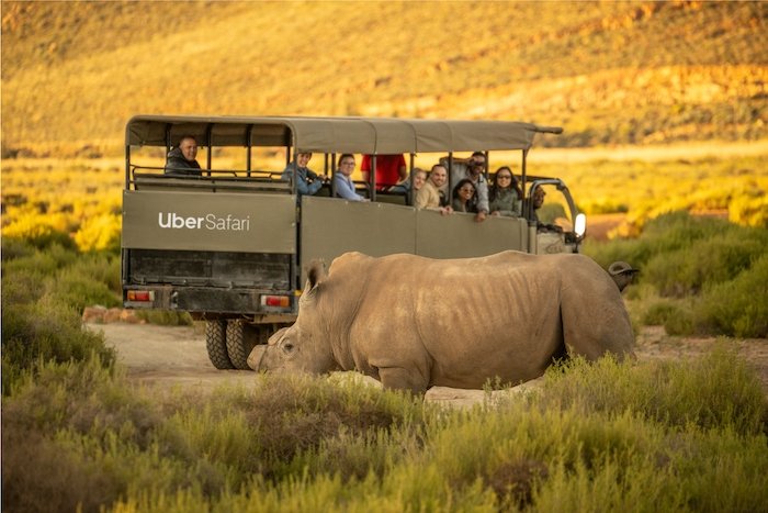 /media/qtlb5kuw/uber-safari