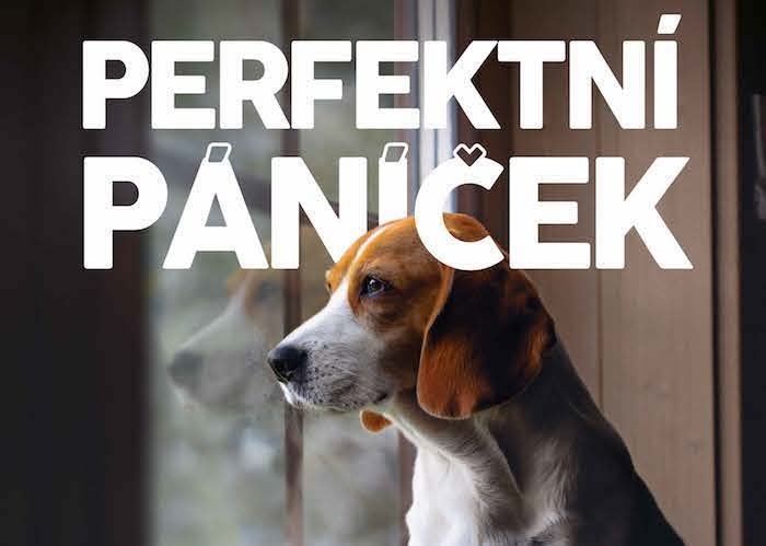 /media/14662/perfektní-páníček_vizuál-2-_slider