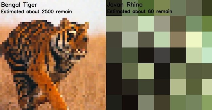 /media/23927/wwf